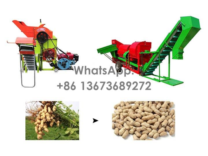 Commercial groundnut picker for peanut harvesting