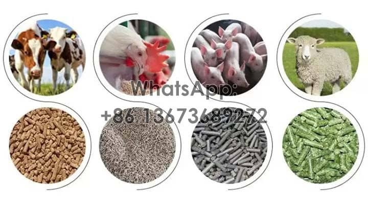 Applications-of-animal-feed-mill