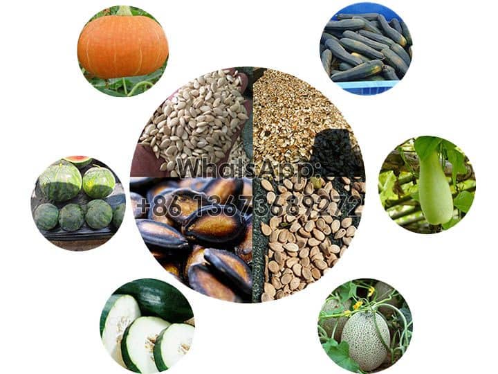 Amplias aplicaciones: cosechadora de semillas de calabaza.
