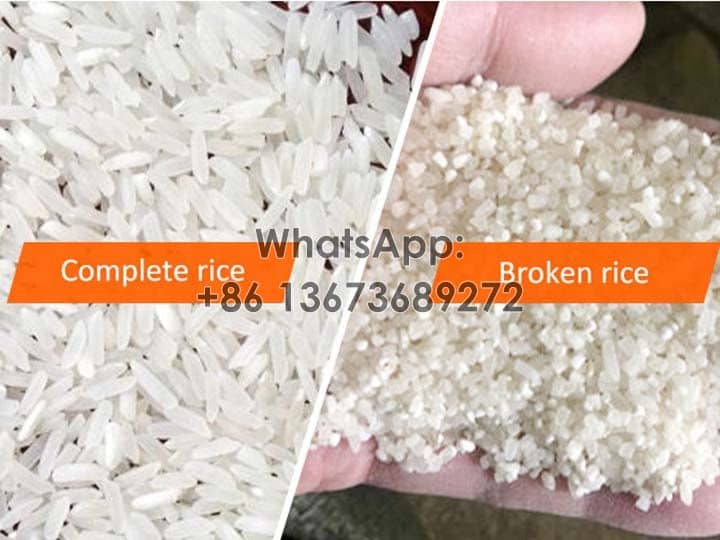 Classificação do arroz