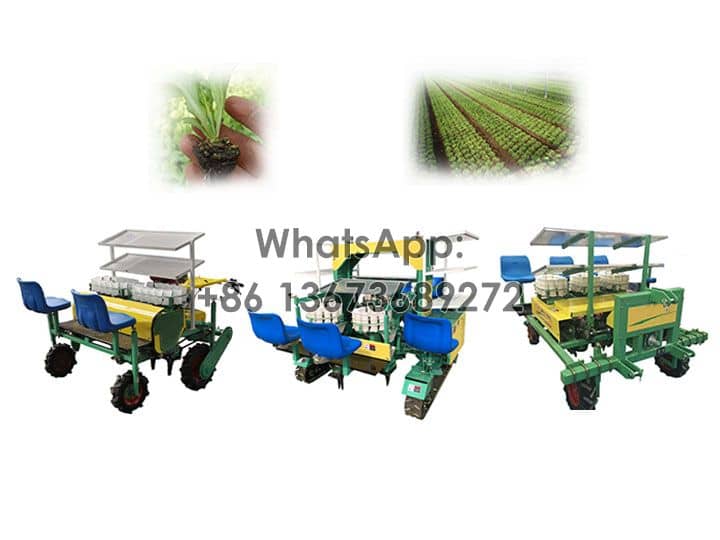 Groententransplantator | Plantaardige zaailingtransplantator | Machine voor zaailingentransplantatie