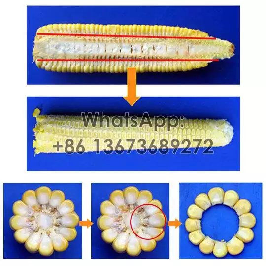 Corn seeds and corn cob separation