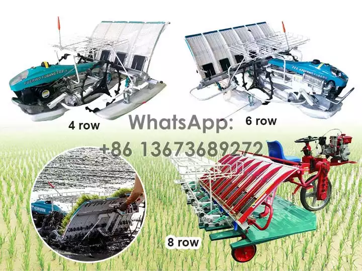 Rice Transplanter for Planting Paddy Seedlings