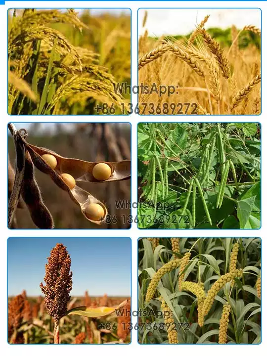 Aplicaciones de la trilladora de arroz y trigo.