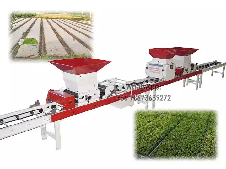 Máquina automática de mudas para viveiro de arroz em casca