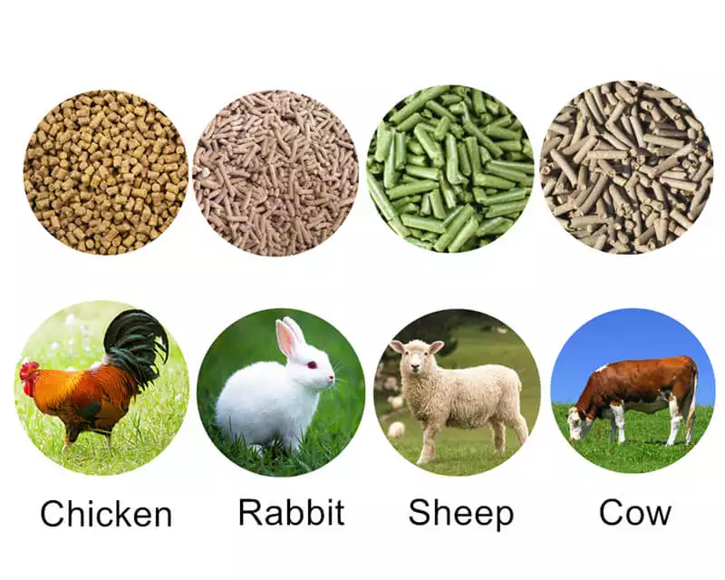 Animal feed pellets