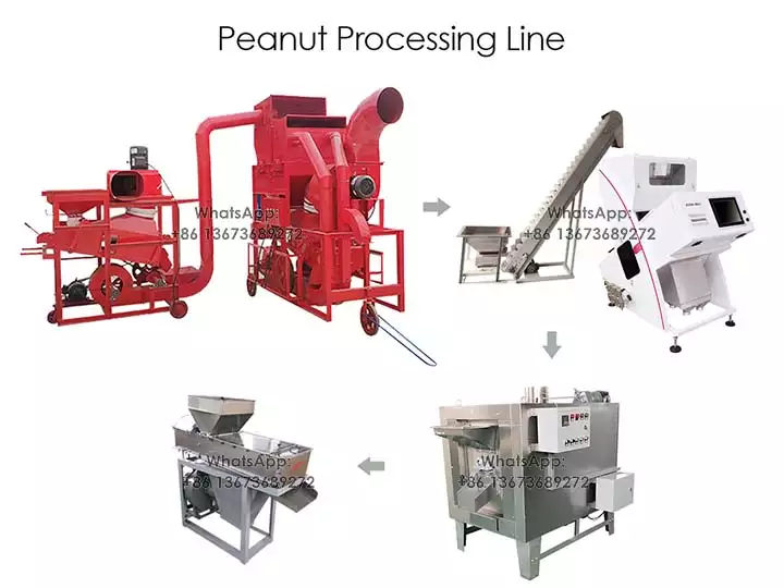 Peanut processing line