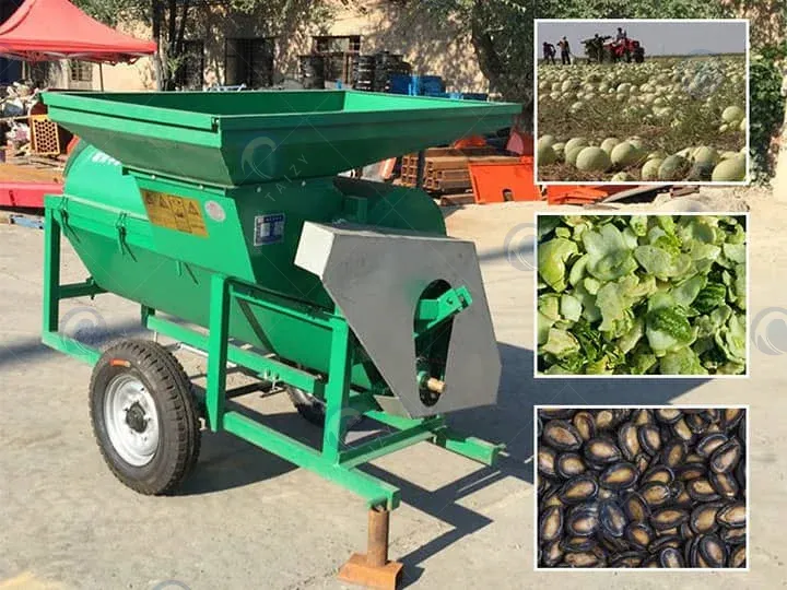 Хорошая производительная машина для извлечения семян тыквы и дыни.