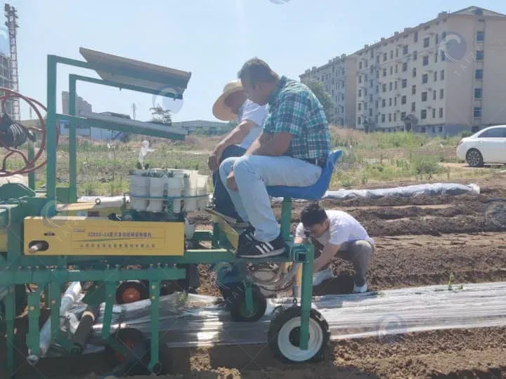 Testando máquina de transplante