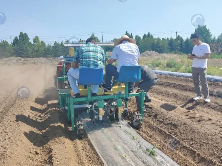 Transplanter works in the field