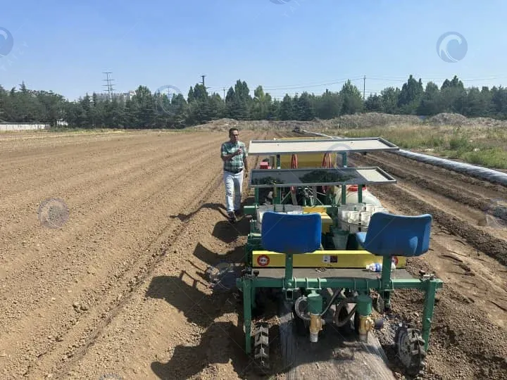 Planteuse de légumes à vendre