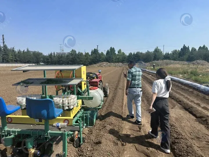 Máquina de transplante de vegetais à venda