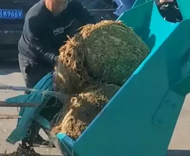 silage bales