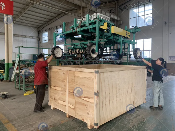 seedling transplanter loading for packing