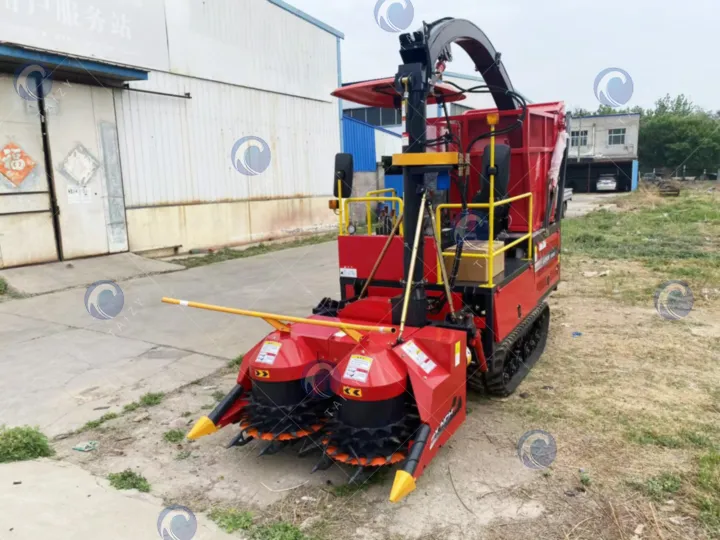 комбайн для кукурузного силоса для кормов