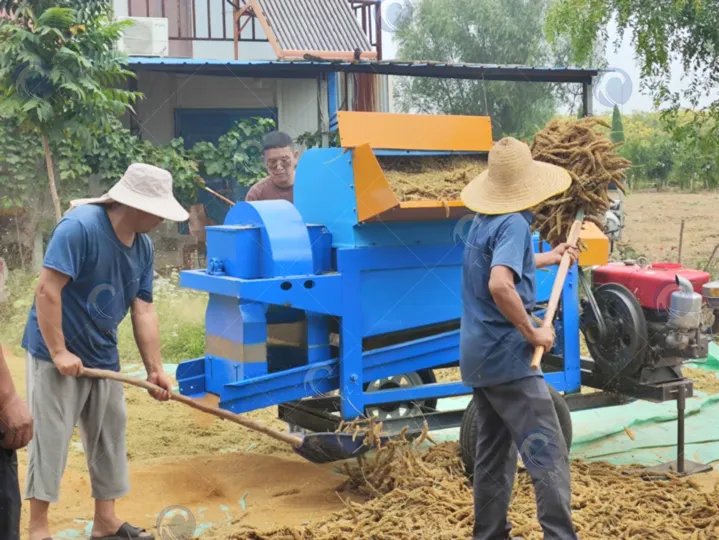 grain threshing machine for millet