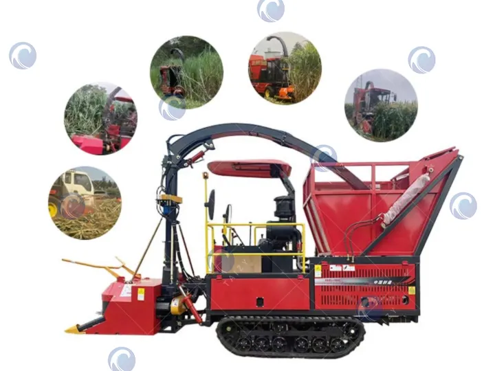 Self-propelled forage harvester machine