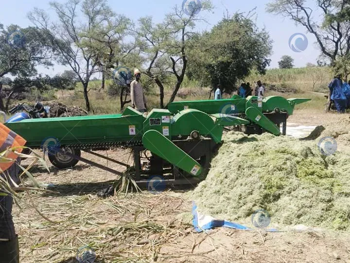 silage chopper machine working scene