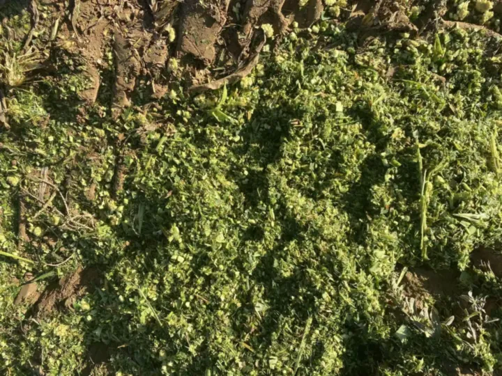 эффект нарезки силоса