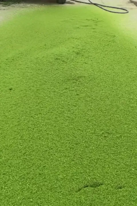 rumput yang dihancurkan