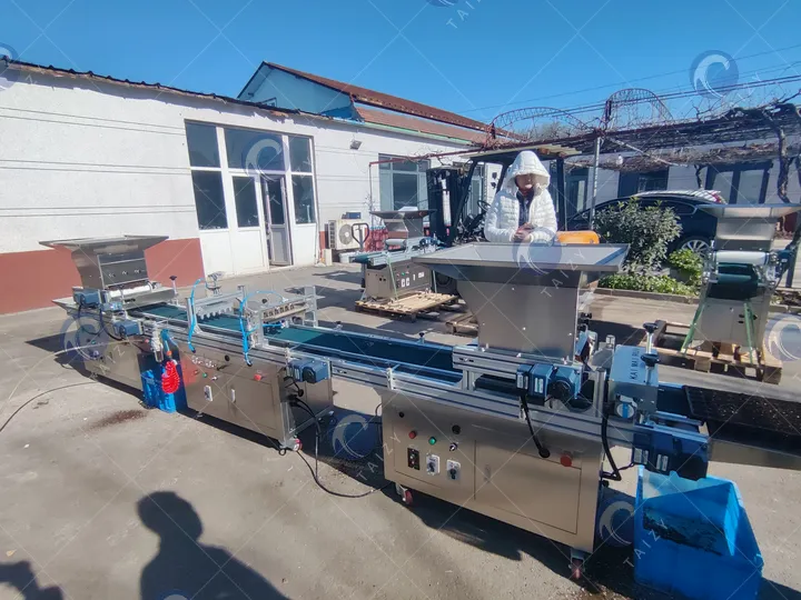 เครื่องปลูกถาดโรงเรือนอัตโนมัติสำหรับโรงเรือน