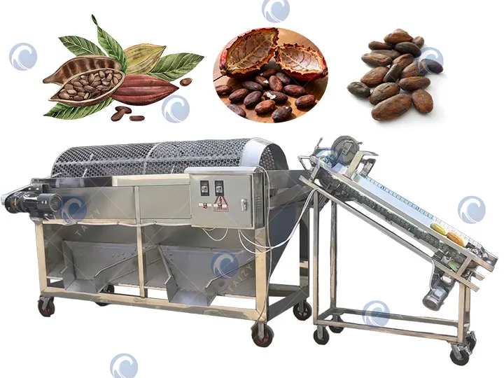 Mesin pecah buah koko automatik