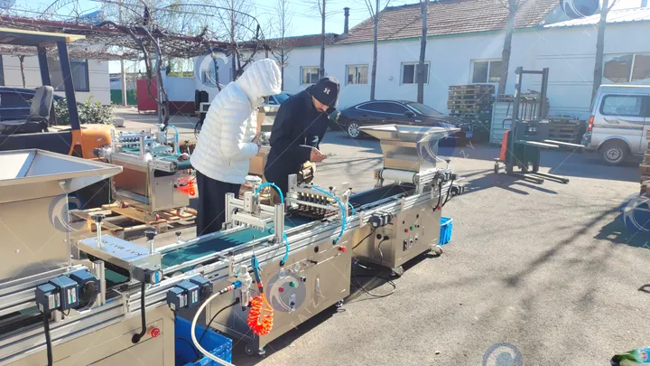 การทดสอบเครื่องปลูกกล้าพืชในโรงเรือน