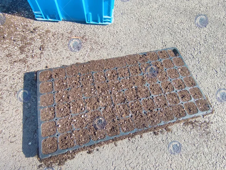 ถาดโรงเรือน