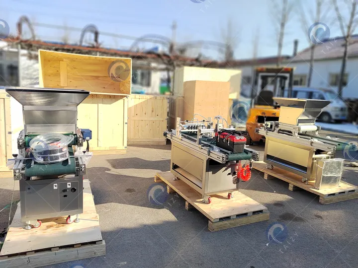 automatic nursery tray seeder packing