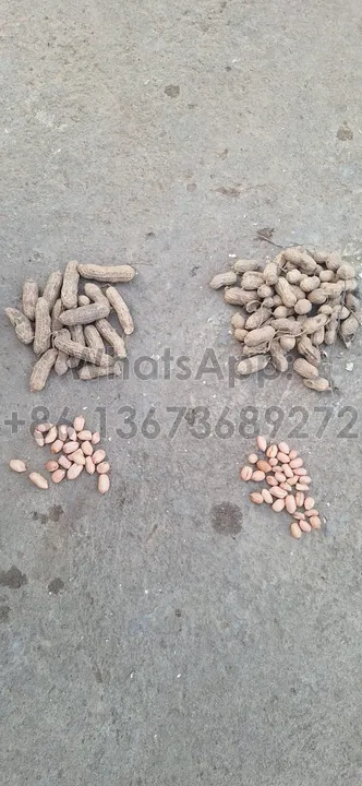 peanuts from Ghana customer