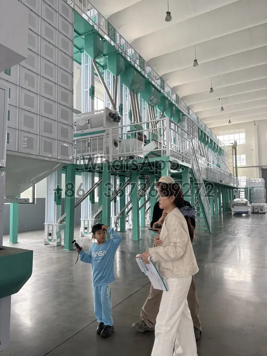 line for paddy rice milling into edible white rice