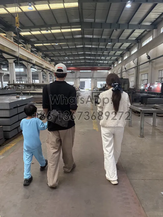 paddy rice mill manufacturing plant