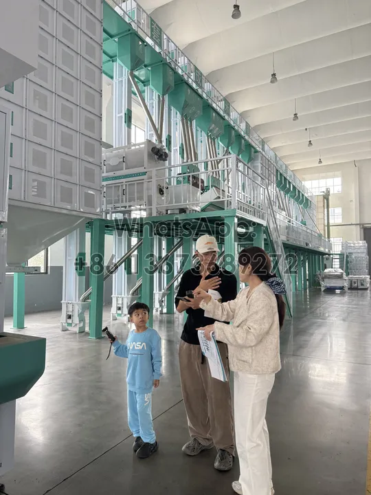 rice mill production line in the factory